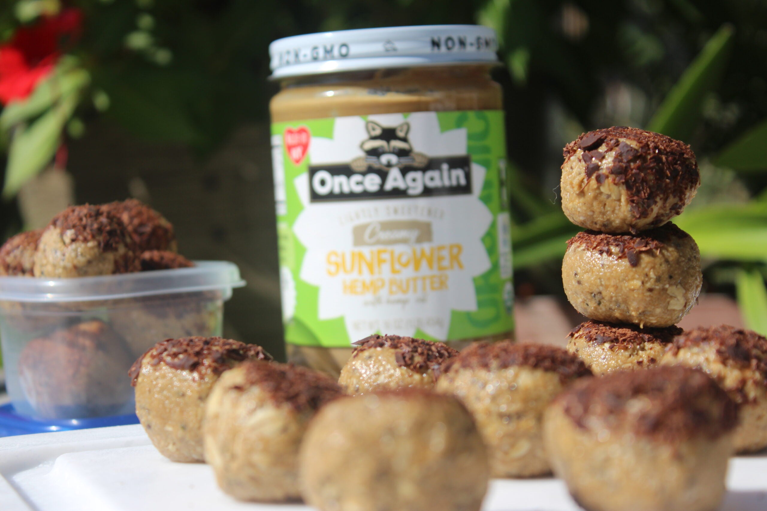 Hemp Sunflower Omega Bites Recipe