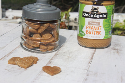 Homemade Peanut Butter Dog Treats