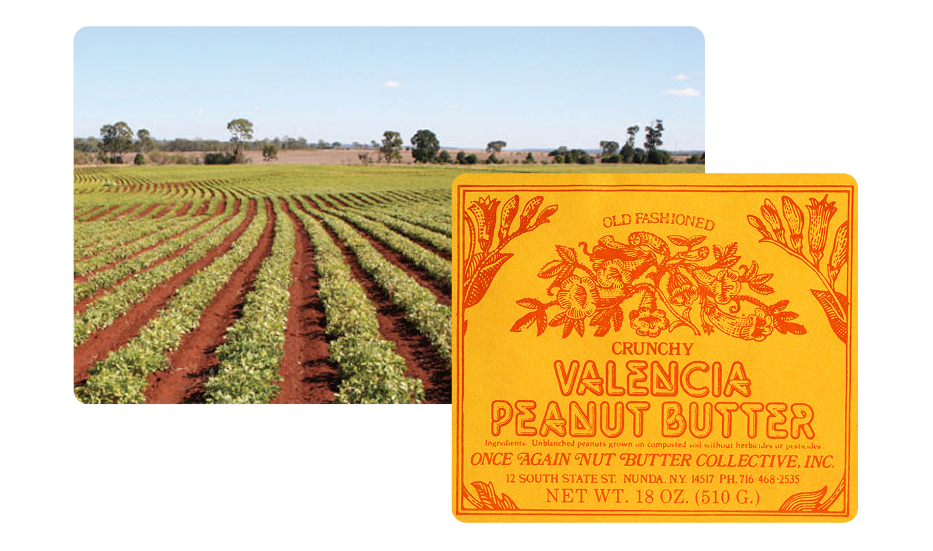Supporting Farmers
