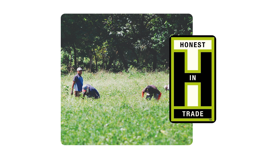 Committed to Honest Food